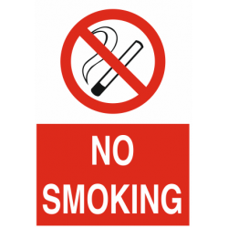 NO SMOKİNG 25X35