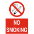 NO SMOKİNG 25X35